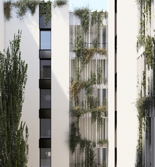 Iliso Suites - 14