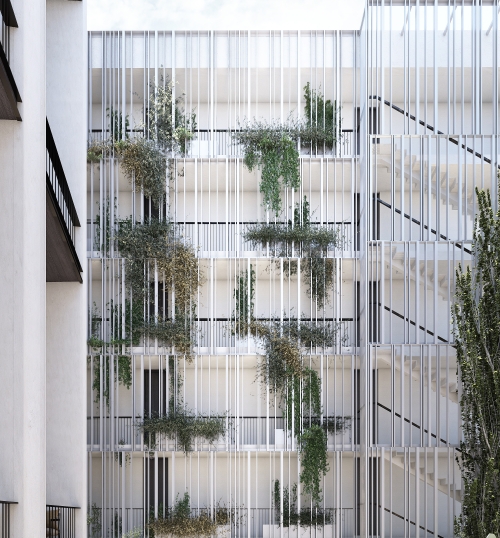 Iliso Suites - 12