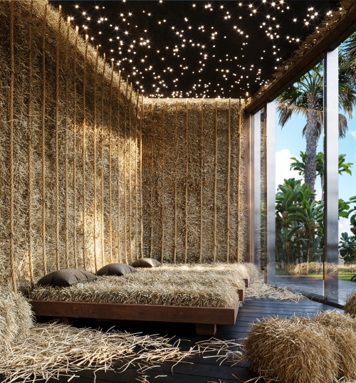 Anantara Dragon - 19